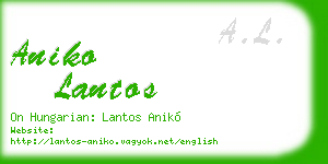 aniko lantos business card
